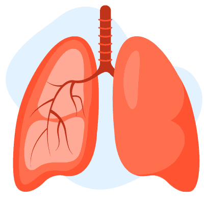 Icon phổi