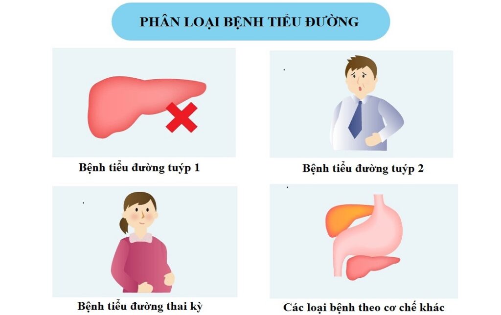 Bài viết dưới đây sẽ giúp bạn phân biệt rõ hơn về các loại tiểu đường